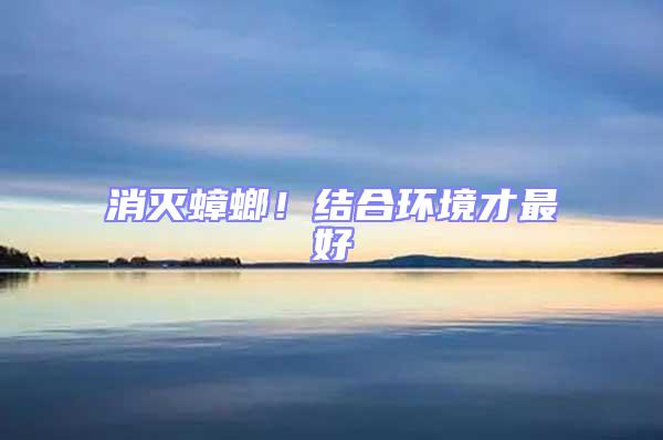 消滅蟑螂！結合環境才最好