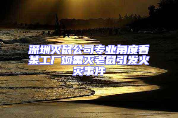 深圳滅鼠公司專業(yè)角度看某工廠煙熏滅老鼠引發(fā)火災(zāi)事件