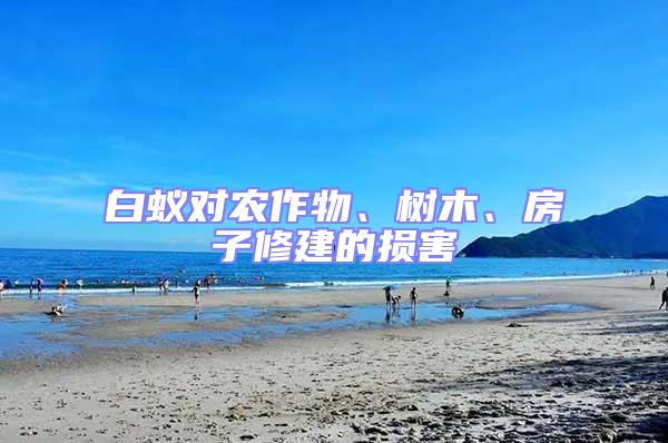 白蟻對農(nóng)作物、樹木、房子修建的損害