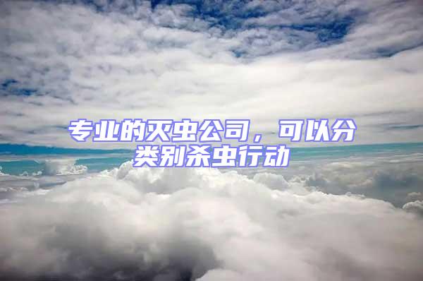 專業(yè)的滅蟲公司，可以分類別殺蟲行動(dòng)