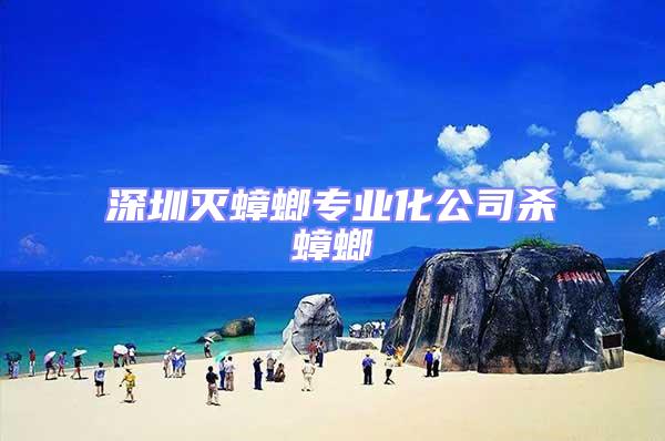 深圳滅蟑螂專業(yè)化公司殺蟑螂
