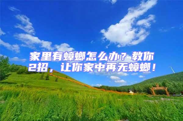 家里有蟑螂怎么辦？教你2招，讓你家中再無蟑螂！