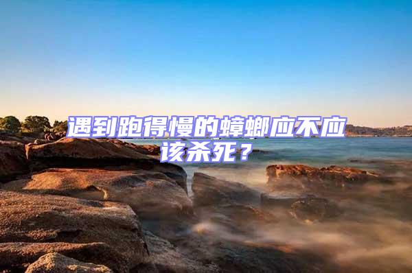 遇到跑得慢的蟑螂應不應該殺死？