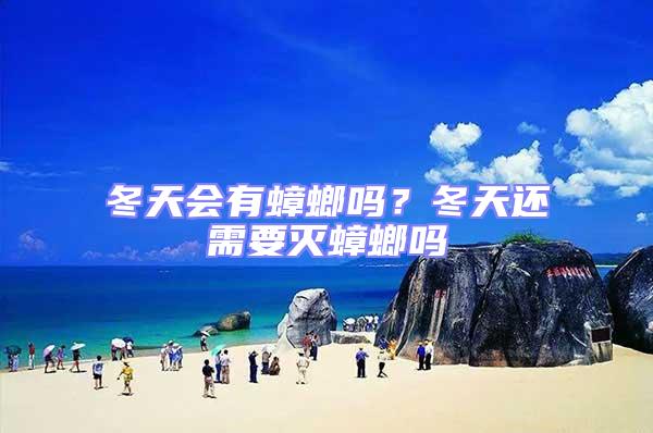 冬天會有蟑螂嗎？冬天還需要滅蟑螂嗎