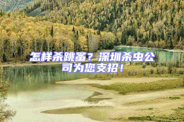 怎樣殺跳蚤？深圳殺蟲公司為您支招！