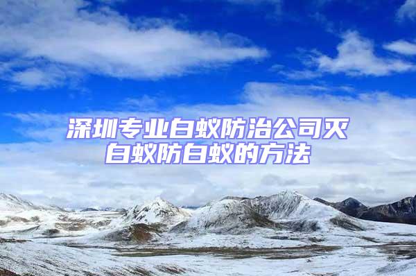 深圳專業(yè)白蟻防治公司滅白蟻防白蟻的方法