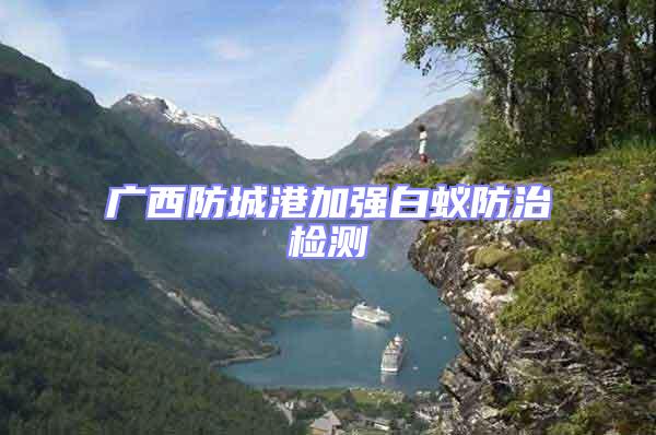 廣西防城港加強(qiáng)白蟻防治檢測