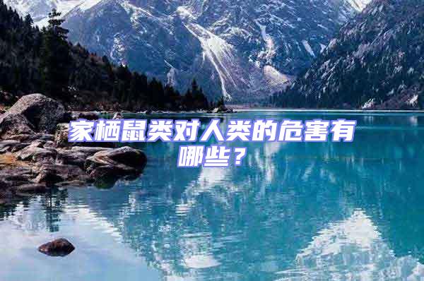 家棲鼠類對(duì)人類的危害有哪些？