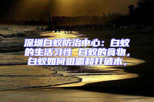 深圳白蟻防治中心：白蟻的生活習性 白蟻的食物，白蟻如何咀嚼和打破木，