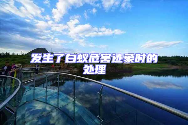 發(fā)生了白蟻危害跡象時(shí)的處理
