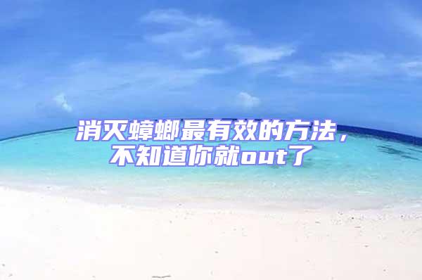消滅蟑螂最有效的方法，不知道你就out了