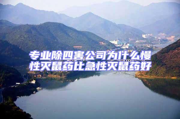 專業除四害公司為什么慢性滅鼠藥比急性滅鼠藥好