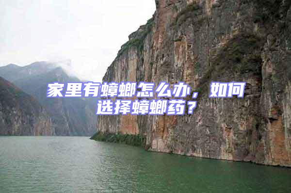 家里有蟑螂怎么辦，如何選擇蟑螂藥？