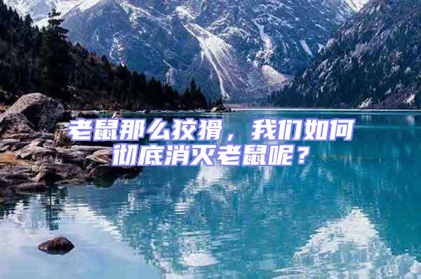 老鼠那么狡猾，我們如何徹底消滅老鼠呢？