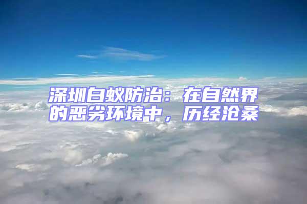深圳白蟻防治：在自然界的惡劣環(huán)境中，歷經(jīng)滄桑