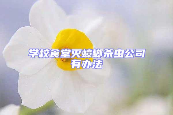 學(xué)校食堂滅蟑螂殺蟲(chóng)公司有辦法