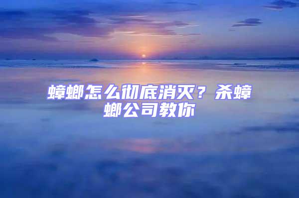 蟑螂怎么徹底消滅？殺蟑螂公司教你