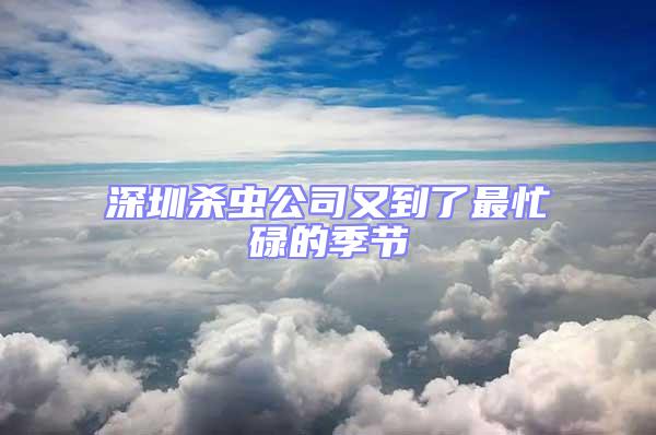 深圳殺蟲公司又到了最忙碌的季節(jié)