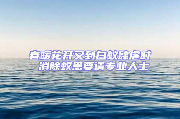 春暖花開又到白蟻肆虐時(shí) 消除蟻患要請專業(yè)人士