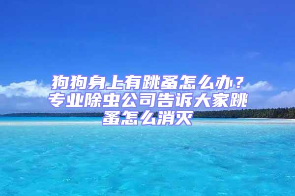 狗狗身上有跳蚤怎么辦？專業除蟲公司告訴大家跳蚤怎么消滅