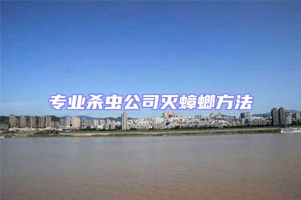 專業(yè)殺蟲公司滅蟑螂方法