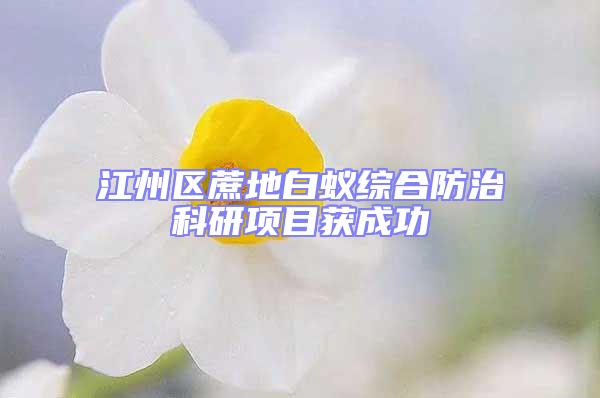 江州區(qū)蔗地白蟻綜合防治科研項(xiàng)目獲成功