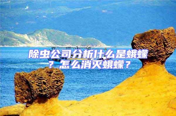 除蟲公司分析什么是蛾蠓？怎么消滅蛾蠓？