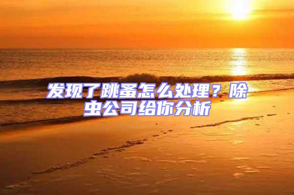 發(fā)現(xiàn)了跳蚤怎么處理？除蟲公司給你分析