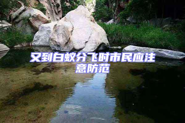 又到白蟻分飛時(shí)市民應(yīng)注意防范