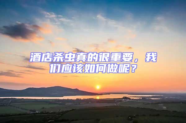 酒店殺蟲真的很重要，我們應該如何做呢？