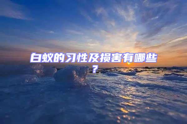 白蟻的習性及損害有哪些？