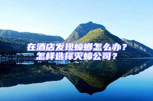 在酒店發(fā)現(xiàn)蟑螂怎么辦？怎樣選擇滅蟑公司？