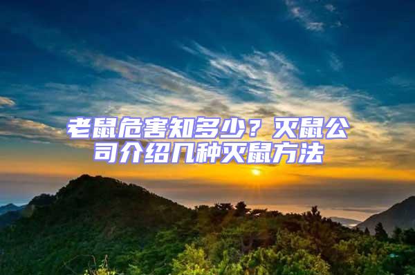 老鼠危害知多少？滅鼠公司介紹幾種滅鼠方法