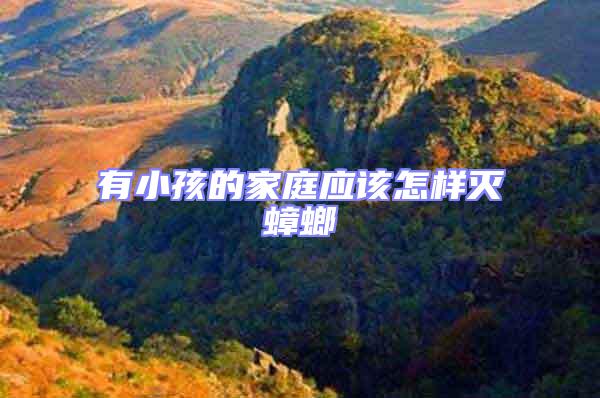 有小孩的家庭應(yīng)該怎樣滅蟑螂