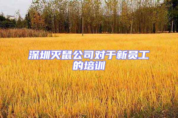 深圳滅鼠公司對于新員工的培訓(xùn)