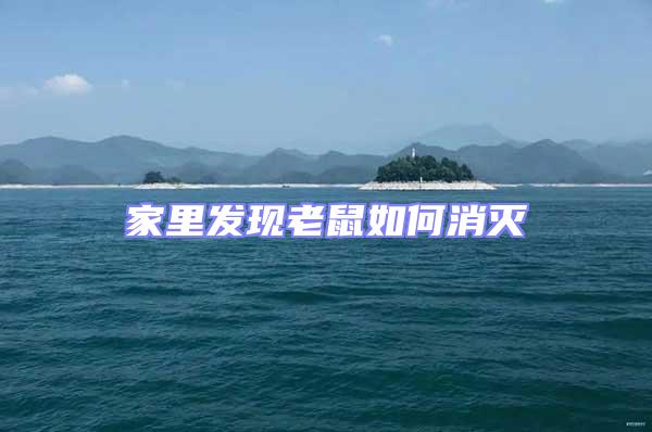 家里發現老鼠如何消滅