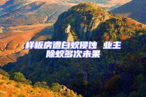 樣板房遭白蟻侵蝕 業(yè)主除蟻多次未果