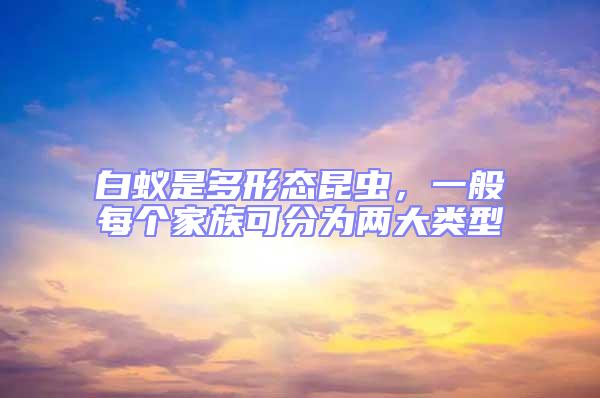 白蟻是多形態昆蟲，一般每個家族可分為兩大類型
