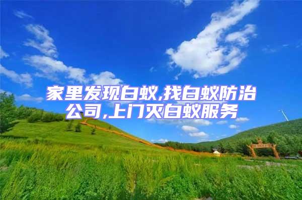 家里發(fā)現(xiàn)白蟻,找白蟻防治公司,上門滅白蟻服務(wù)
