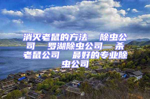 消滅老鼠的方法  除蟲(chóng)公司  羅湖除蟲(chóng)公司  殺老鼠公司  最好的專(zhuān)業(yè)除蟲(chóng)公司
