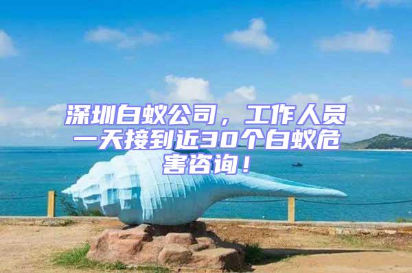 深圳白蟻公司，工作人員一天接到近30個白蟻危害咨詢！