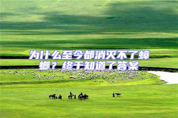 為什么至今都消滅不了蟑螂？終于知道了答案