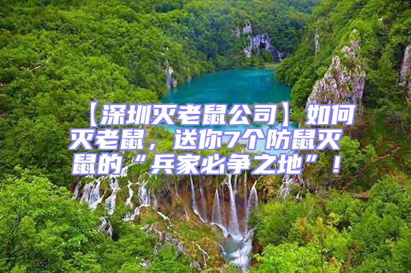 【深圳滅老鼠公司】如何滅老鼠，送你7個防鼠滅鼠的“兵家必爭之地”！