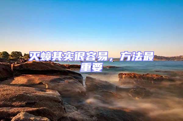 滅蟑其實很容易，方法最重要