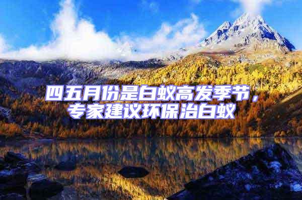 四五月份是白蟻高發(fā)季節(jié)，專家建議環(huán)保治白蟻