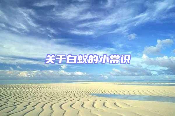 關(guān)于白蟻的小常識