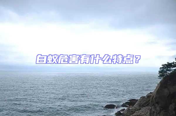 白蟻危害有什么特點(diǎn)？