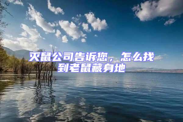 滅鼠公司告訴您，怎么找到老鼠藏身地