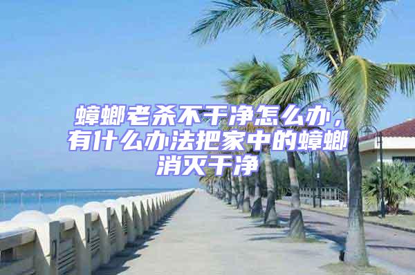 蟑螂老殺不干凈怎么辦，有什么辦法把家中的蟑螂消滅干凈