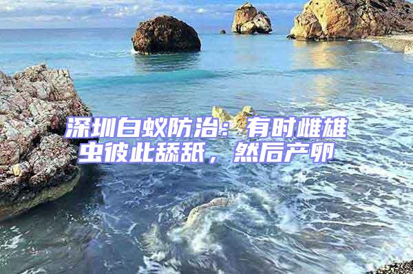 深圳白蟻防治：有時雌雄蟲彼此舔舐，然后產卵